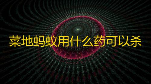 第五人格科技手抄报菜地蚂蚁用什么药可以杀死